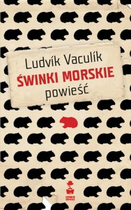 swinki-morskie